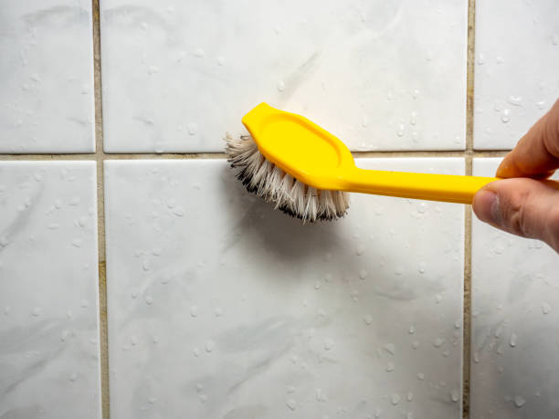 Best DIY Mold Remediation Support Services in Chesapeake, OH