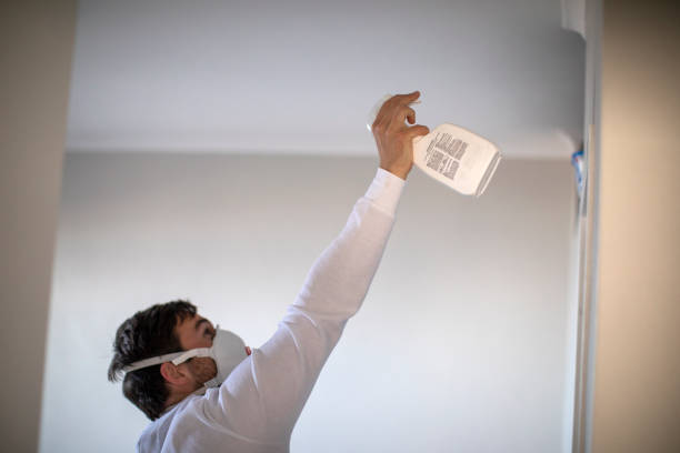 Best Residential Mold Remediation in Chesapeake, OH